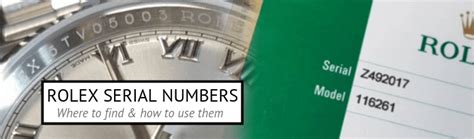 rolex register|rolex watch registration number lookup.